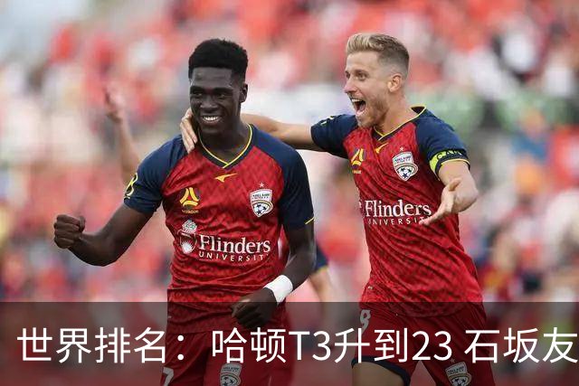 世界排名：哈顿T3升到23 石坂友宏日巡首胜412位